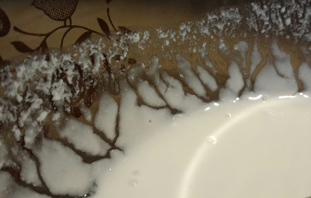 The makeshift buttermilk and sour cream mixture made little trees on the side of the bowl!