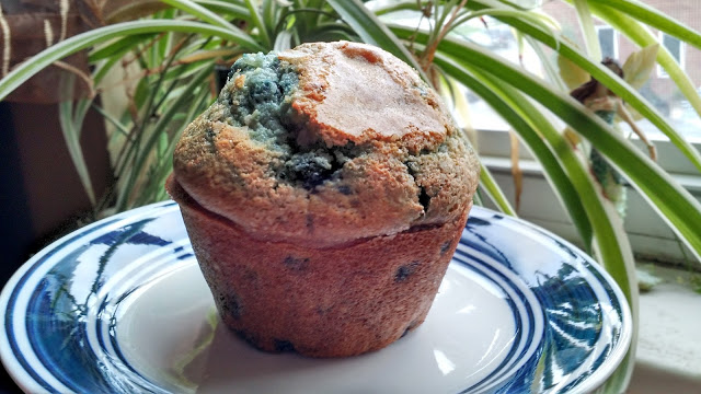 The most photogenic muffin I've ever had the pleasure of eating.